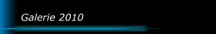 Galerie 2010